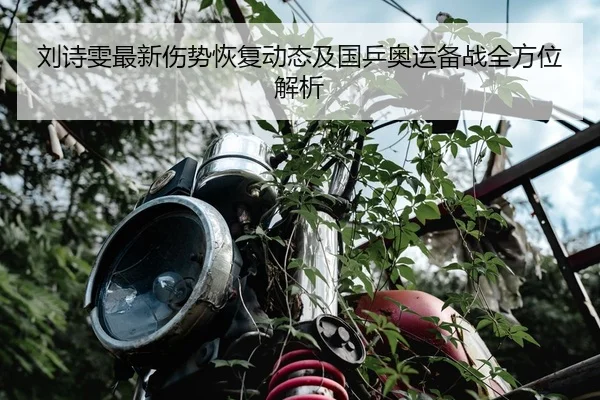 刘诗雯最新伤势恢复动态及国乒奥运备战全方位解析