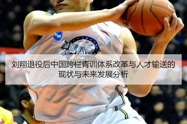刘翔退役后中国跨栏青训体系改革与人才输送的现状与未来发展分析